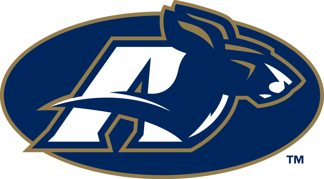 Akron Zips 2002-Pres Alternate Logo v5 diy iron on heat transfer